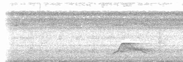 Pauraquenachtschwalbe - ML613618695