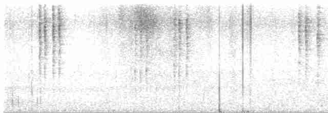 Чернолобый колибри - ML613619003