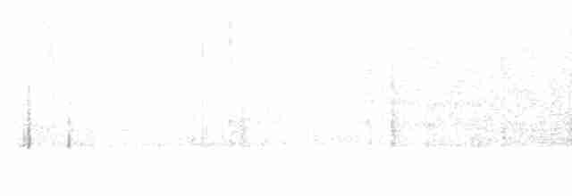 Eastern Black-eared Wheatear - ML613620215