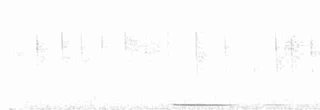 Lined Quail-Dove - ML613621502