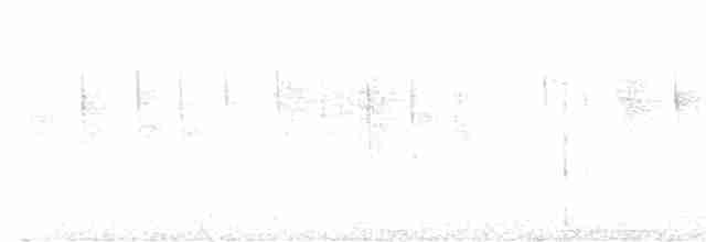 Колібрі-лісовичок фіолетоволобий - ML613621511