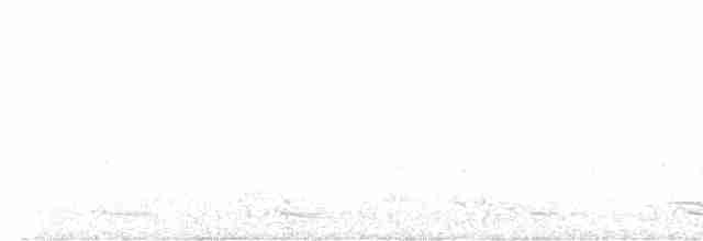 White-tipped Quetzal - ML613621893