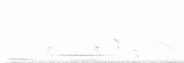 Gray Tinamou - ML613621975