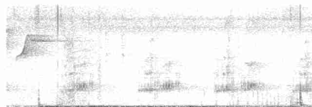 tukan středoamerický - ML613624491