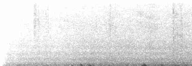 Black Oystercatcher - ML613626137