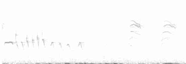 Каньонный крапивник - ML613627092