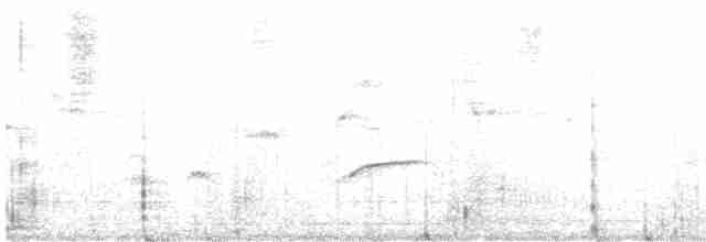 Chardonneret gris - ML613627214