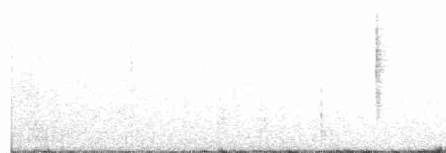 Gobemouche de White - ML613627446