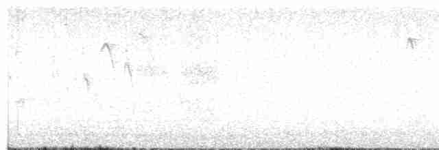 Горная гаичка - ML613627651
