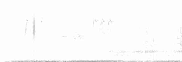 Mérion superbe - ML613627936