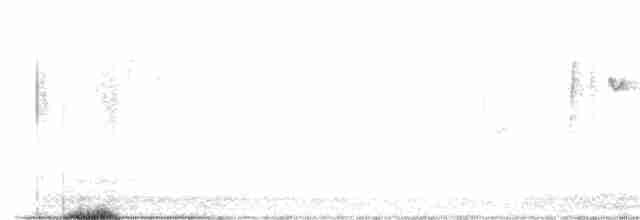 Acanthize à croupion beige - ML613627977