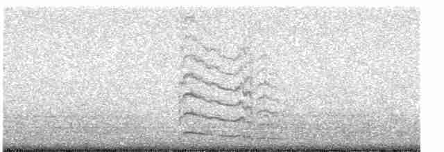 Дятел-смоктун білочеревий - ML613628052