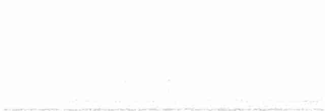 Batı Amerika Sinekkapanı (occidentalis/hellmayri) - ML613628390