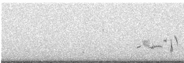 Wüstenspottdrossel - ML613631682