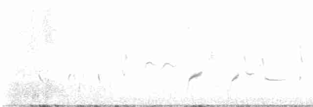 Beifuß-Spottdrossel - ML613631778