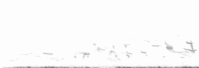 Western Meadowlark - ML613632974