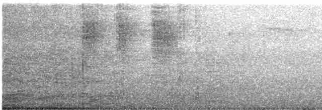 Papamoscas de Mcgrigor - ML613634019