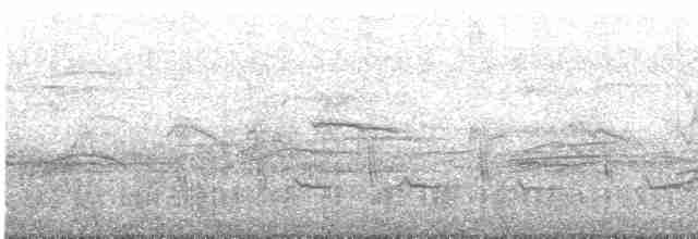 黑玄燕鷗 - ML613634328