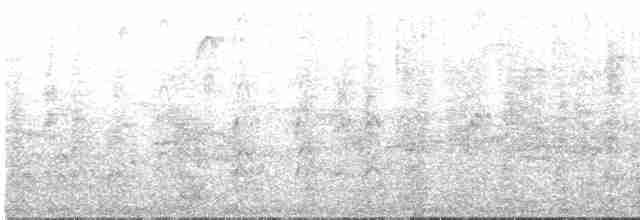 Western Cattle Egret - ML613634482