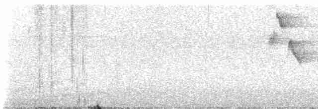 Warbling White-eye - ML613635059