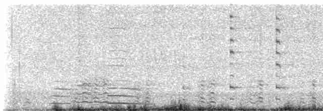 Казарка гавайська - ML613635088