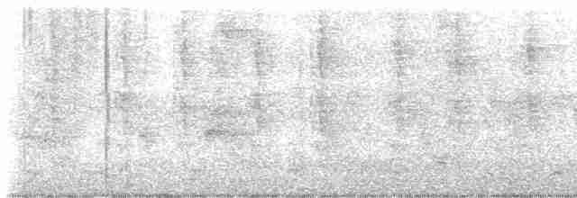אנפית בקר מערבית - ML613635125