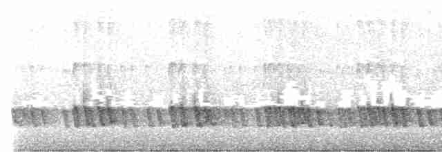 コアオミミゴシキドリ - ML613636416