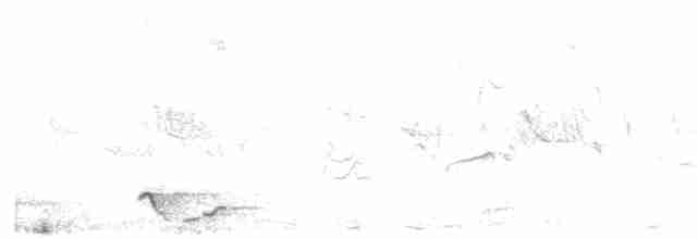 アフリカズキンコウライウグイス - ML613636464