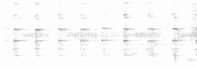 Чибис-кузнец - ML613636493