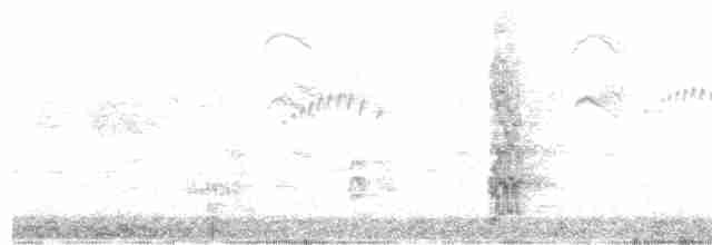 Spot-winged Pigeon - ML613637010