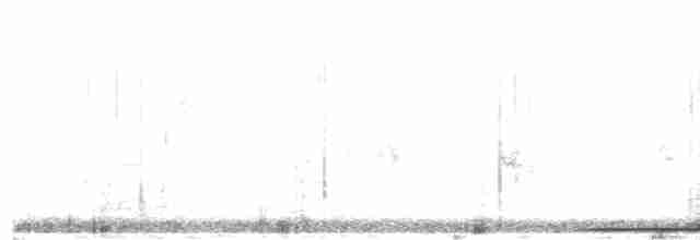 Küpeli Kumru - ML613637011