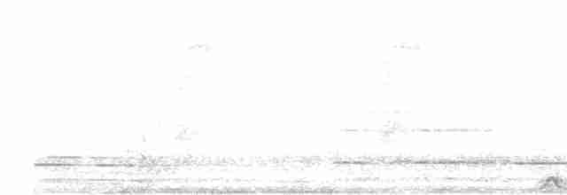 Сова-лісовик бура - ML613637788