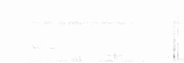 White-cheeked Barbet - ML613638926