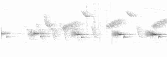 Сычуаньская пестрогрудка - ML613639964
