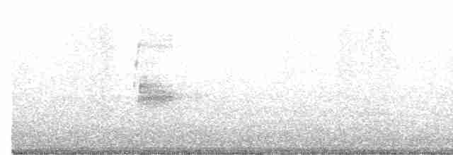 Great Gray Shrike - ML613646812