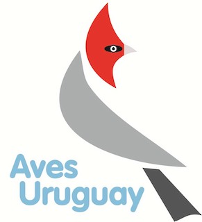 Aves Uruguay