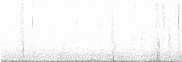Пятнистая вилохвостка - ML613650030