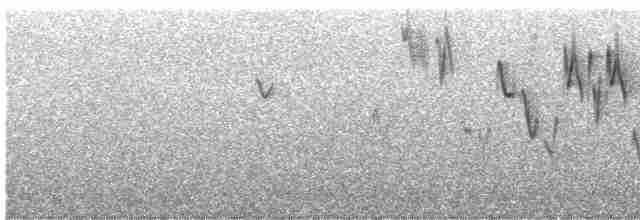 Pasifik Çıtkuşu - ML613653925