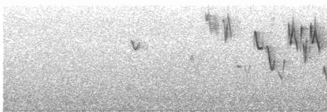 Тихоокеанский крапивник - ML613653933