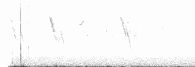 White Wagtail - ML613655371