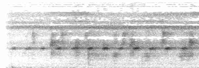Серогорлая лесная курочка - ML613658922