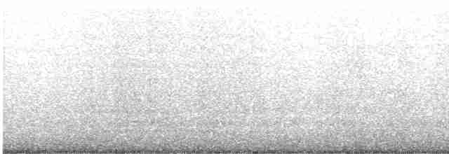 Mor Kumkuşu - ML613661612
