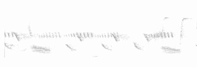 Tawny-flanked Prinia - ML613665374