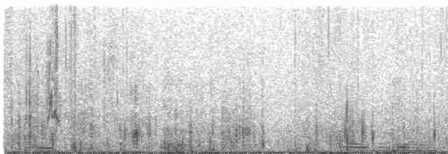 Long-tailed Meadowlark - ML613667263