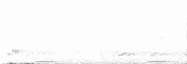 holub pestrokřídlý - ML613670837