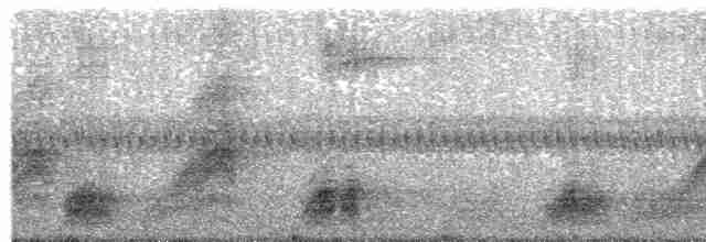 Kara Boğazlı Gevezeardıç (monachus) - ML613671041