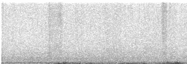 オーストラリアクロミヤコドリ - ML613671205