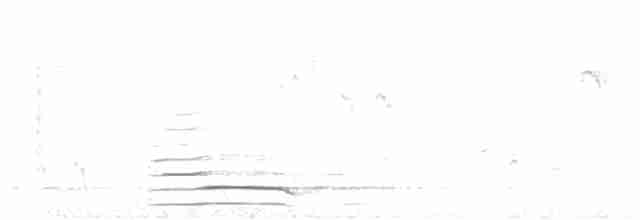 Indian Peafowl - ML613672900
