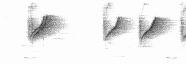 Zeytuni Sırtlı Nektarkuşu [ornatus grubu] - ML613674527