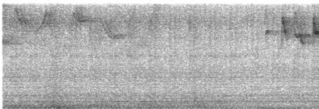 Серый конусоклюв - ML613677138